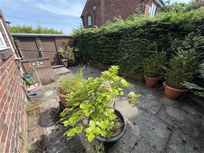 Picture 12